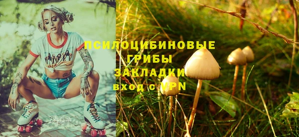 хмурый Михайловка