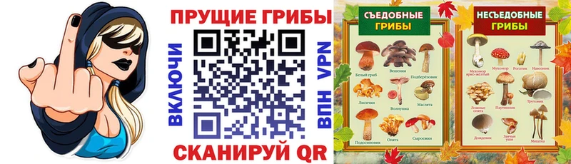 купить наркоту  Рассказово  Псилоцибиновые грибы Cubensis 